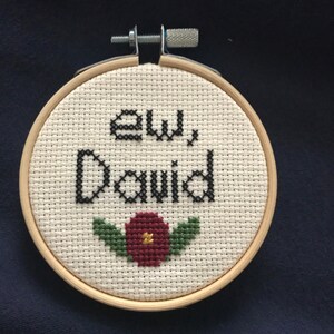 May include: A white embroidery hoop with a cross-stitch design that says "ew, David" with a red flower and green leaves.