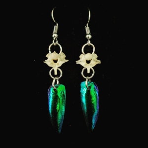 May include: A pair of earrings featuring a small white bone charm and a long, iridescent green beetle wing pendant.