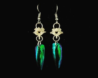 Python Vertebrae & Beetle Wing Dangle Earrings