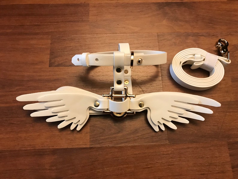 Dog Harness With Wings and Leash White Etsy