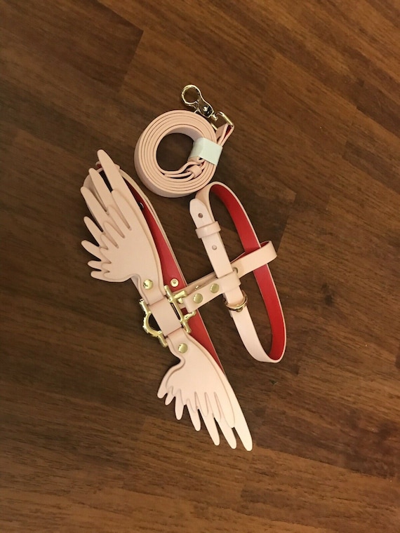 dog harness with wings