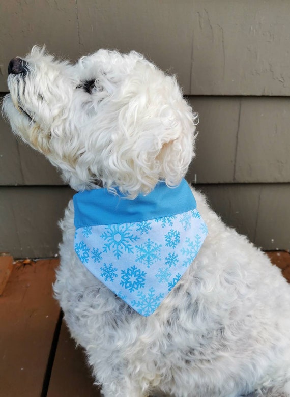 winter dog bandana