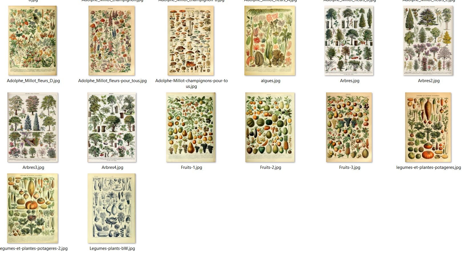 300 Vintage Botanical Wall Collage Kit -botanical Wall Collage Kit ...