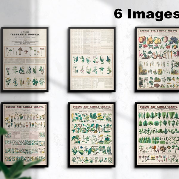 Vintage School BOTANICAL Chart set, Vintage Botanical Wall Art Print Posters | Farmhouse Boho Unique Decor set of 6  INSTANT DOWNLOAD