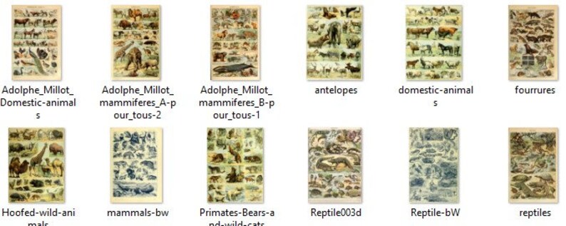 May include: A collection of vintage illustrations featuring various animals, including antelopes, domestic animals, and reptiles. The illustrations are in a detailed, hand-drawn style with a vintage aesthetic.
