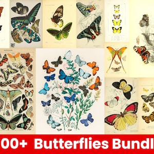 DIGITAL Vintage butterfly Junk Journal Ephemera - Butterflies Ephemera, Insects Ephemera Journal, Vintage collage Bundle