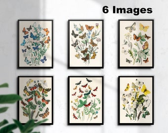 Vintage Butterfly Print Set of 6, Butterfly Wall Art, Butterfly Gift Idea, Lepidopterist Gift Idea, Butterflies wall art- INSTANT DOWNLOAD