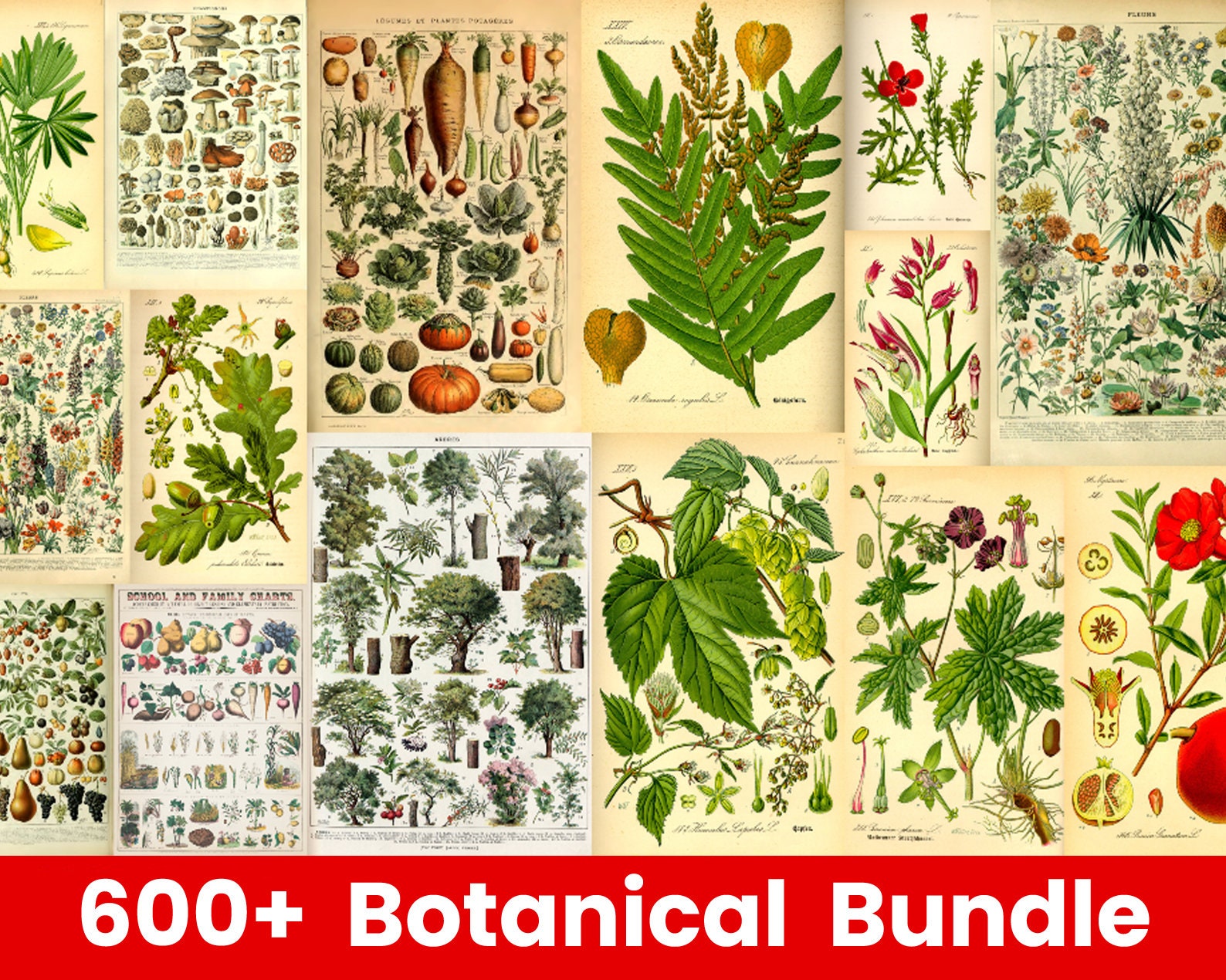 300 Vintage Botanical Wall Collage Kit -botanical Wall Collage Kit ...