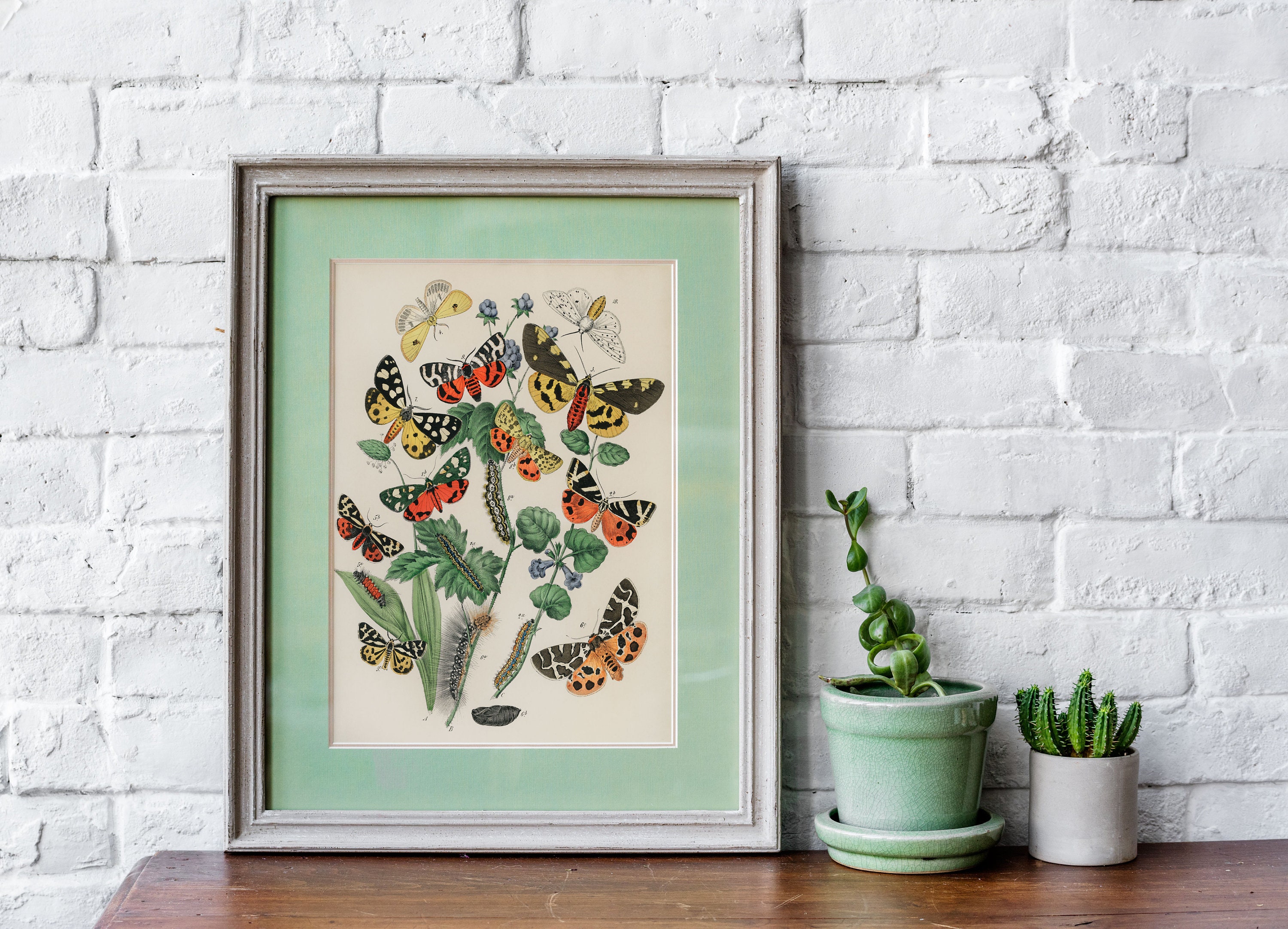 Vintage Butterfly Print Set of 6, Butterfly Wall Art, Butterfly Gift ...