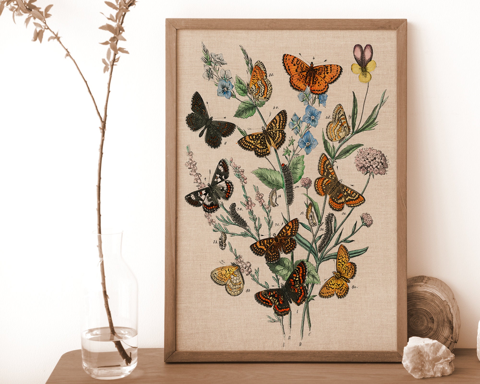 Vintage Butterfly Print Set of 6, Butterfly Wall Art, Butterfly Gift ...