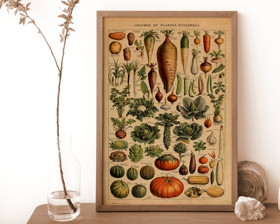 Fruits And Vegetables From Nouveau Larousse Illustre