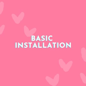 Wordpress, Shopify Theme Installation, Demo Import