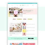 WordPress Themes