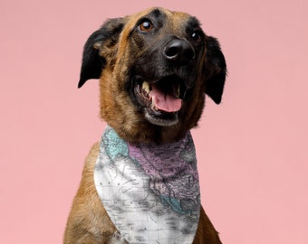 Unique Dog Bandana: Map Of The World Puppy Bandana. Best Pet Gift, Dog Lover Gift, Dog Dad Gift, Dog Mom Gift, Bandana For Dogs, Pet Clothes
