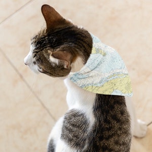 Cat Bandana for Travel Lovers
