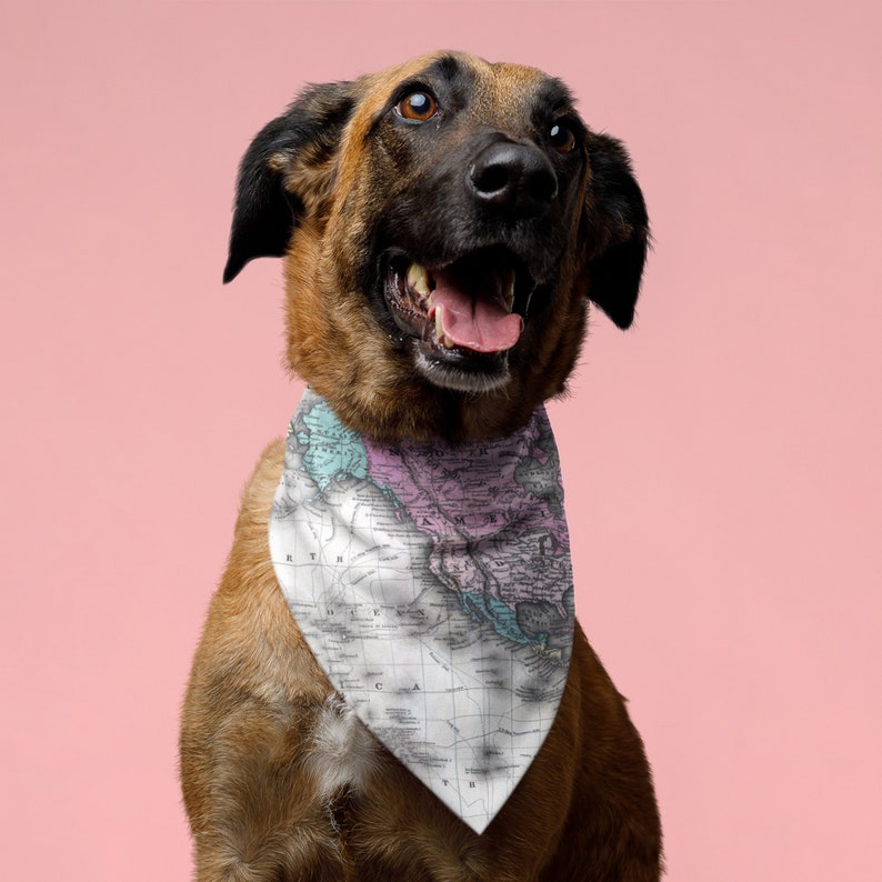Puede incluir: Un perro marr&oacute;n y negro con un pa&ntilde;uelo blanco con un estampado de mapa rosa y azul. El perro est&aacute; mirando hacia la derecha y tiene la boca abierta.