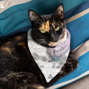 World Map Pet Bandana
