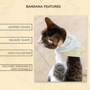 Hemmed Edges Pet Bandana for Cats