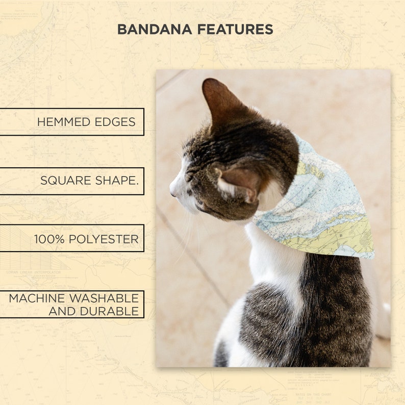 Hemmed Edges Pet Bandana for Cats