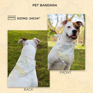 Unique Dog Bandana
