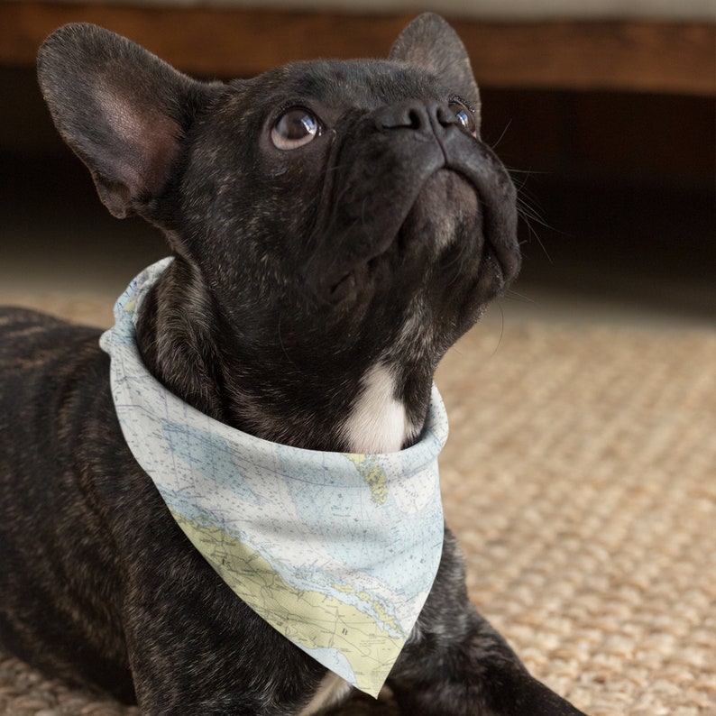World Themed Travel Dog Bandana Nautical