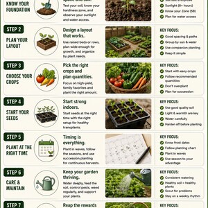 May include: A green and white infographic titled "Your 7-Step Quick Start Guide" for gardening. It details steps from planning to harvest, including soil testing, layout design, crop selection, and planting times. Key focus areas are listed for each step.
