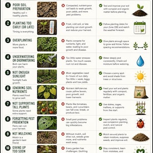 May include: An infographic titled "10 Beginner Mistakes (And How to Avoid Them)" with gardening tips. It lists common errors like poor soil preparation, overwatering, and pest prevention, along with solutions. A basket of vegetables is in the top right.