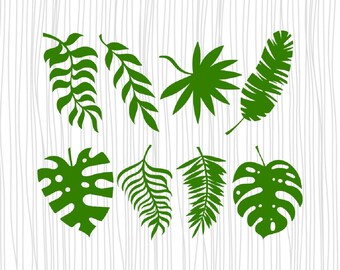 Download Free Palm Leaf Svg Etsy SVG Cut Files