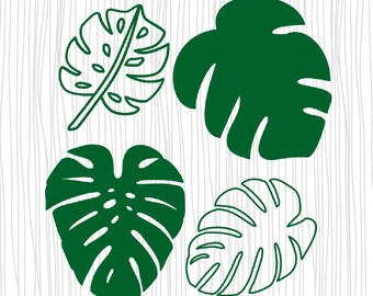 Tropical Leaf Svg Etsy