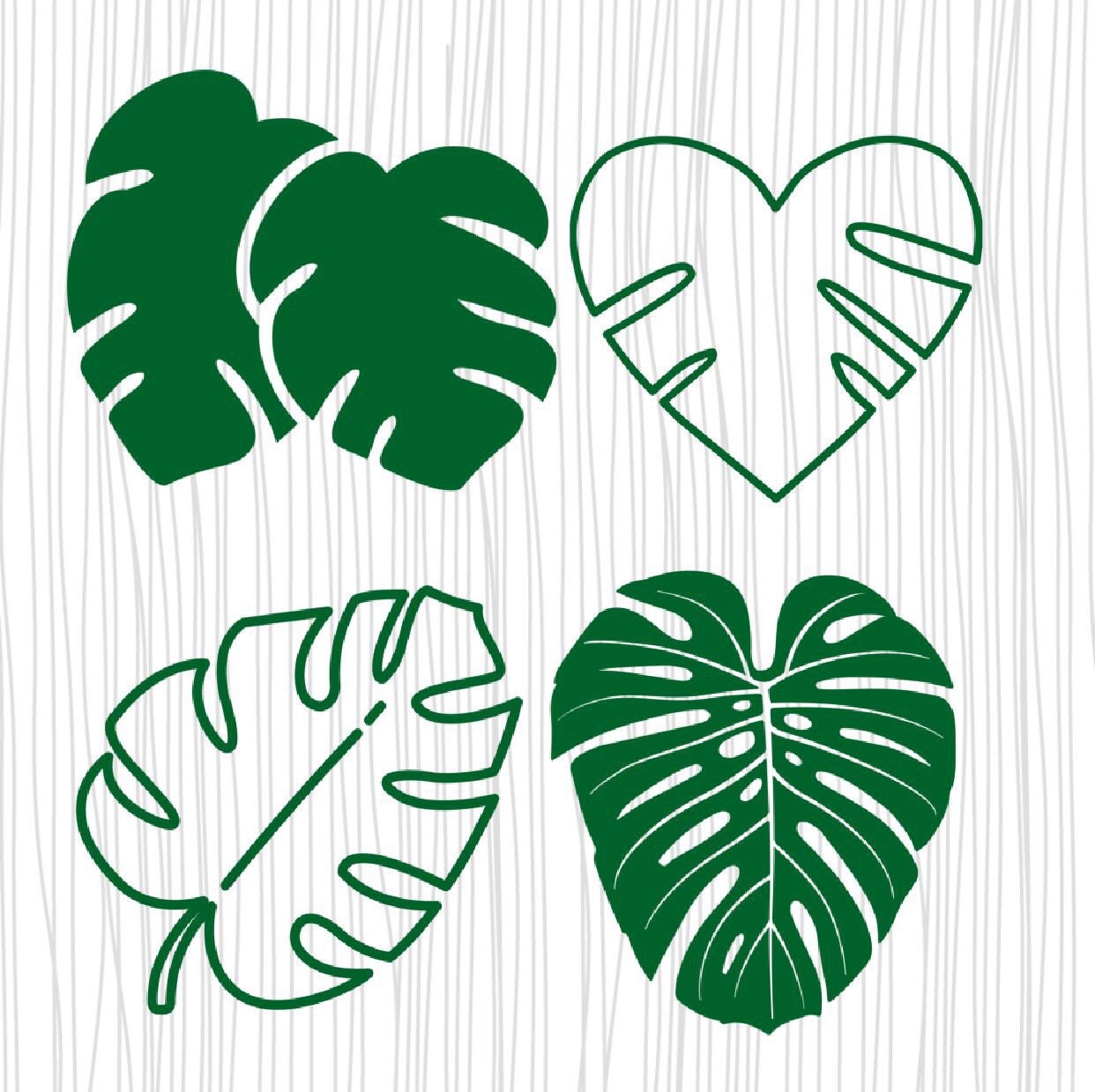 Monstera Leaf Free Svg - Monstera Leaves Cuttable Design - Download the
