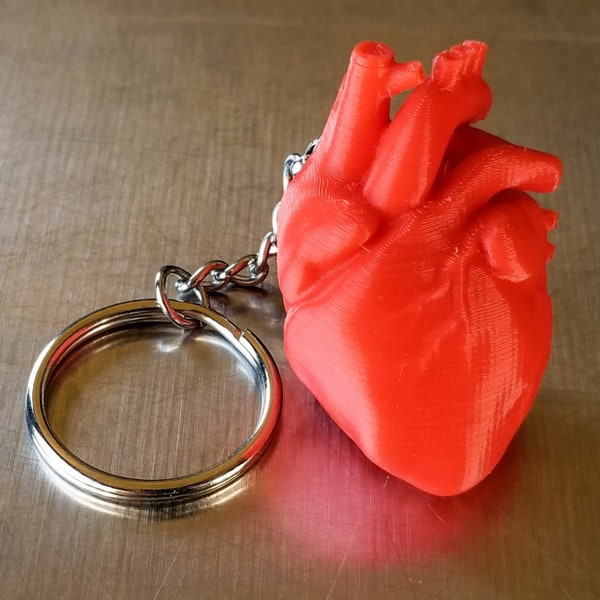 Anatomical Heart Keychain • Gothic Accessory • 3D Printed