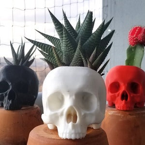 Maceta de suculentas con forma de calavera • Decoración gótica para el jardín • Impresión 3D