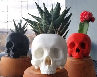 Skull Succulent Planter • Gothic Home Garden Decor • 3D Printed