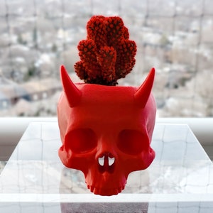 Horned Skull Succulent Planter • Gothic Home Garden Decor • 3D Printed