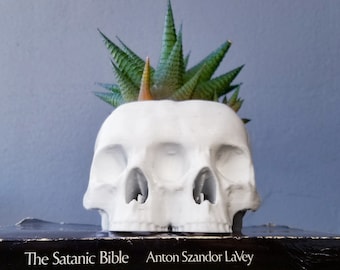 Conjoined Skull Succulent Planter • Gothic Home Garden Decor • 3D Printed