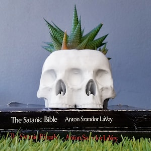 Conjoined Skull Succulent Planter Gothic Home Garden Decor 3D Printed image 1