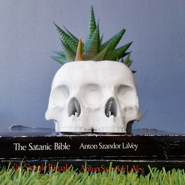 Conjoined Skull Succulent Planter • Gothic Home Garden Decor • 3D Printed