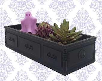 May include: A black coffin-shaped planter with three drawers, filled with succulents and a purple ghost figurine.