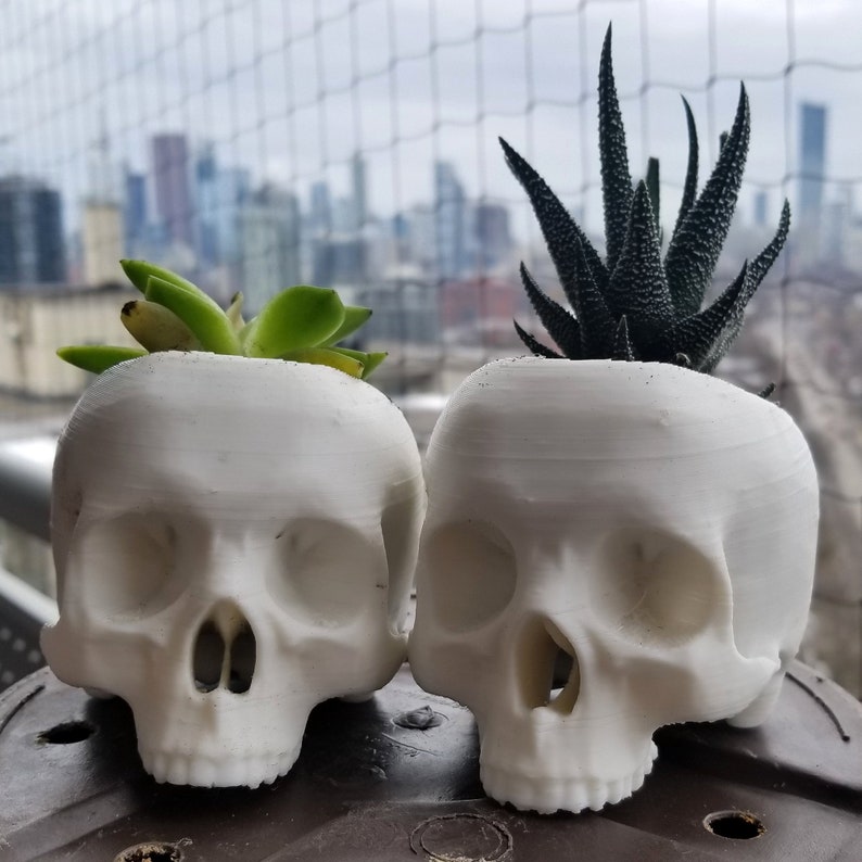 Skull Succulent Planter Gothic Home Garden Decor 3D Printed image 2