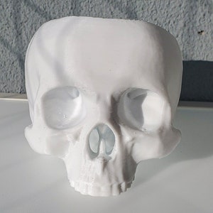 Skull Succulent Planter Gothic Home Garden Decor 3D Printed image 3