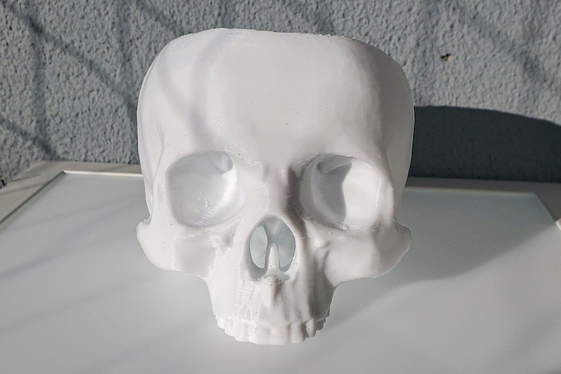 Skull Succulent Planter Gothic Home Garden Decor 3D Printed image 3