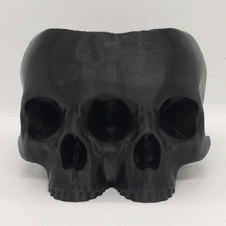 Large Conjoined Skull Planter Gothic Home Garden Decor 3D Printed image 3