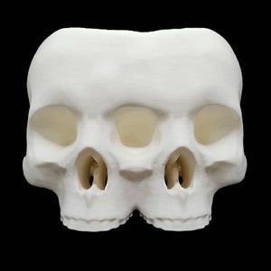 Large Conjoined Skull Planter Gothic Home Garden Decor 3D Printed image 4