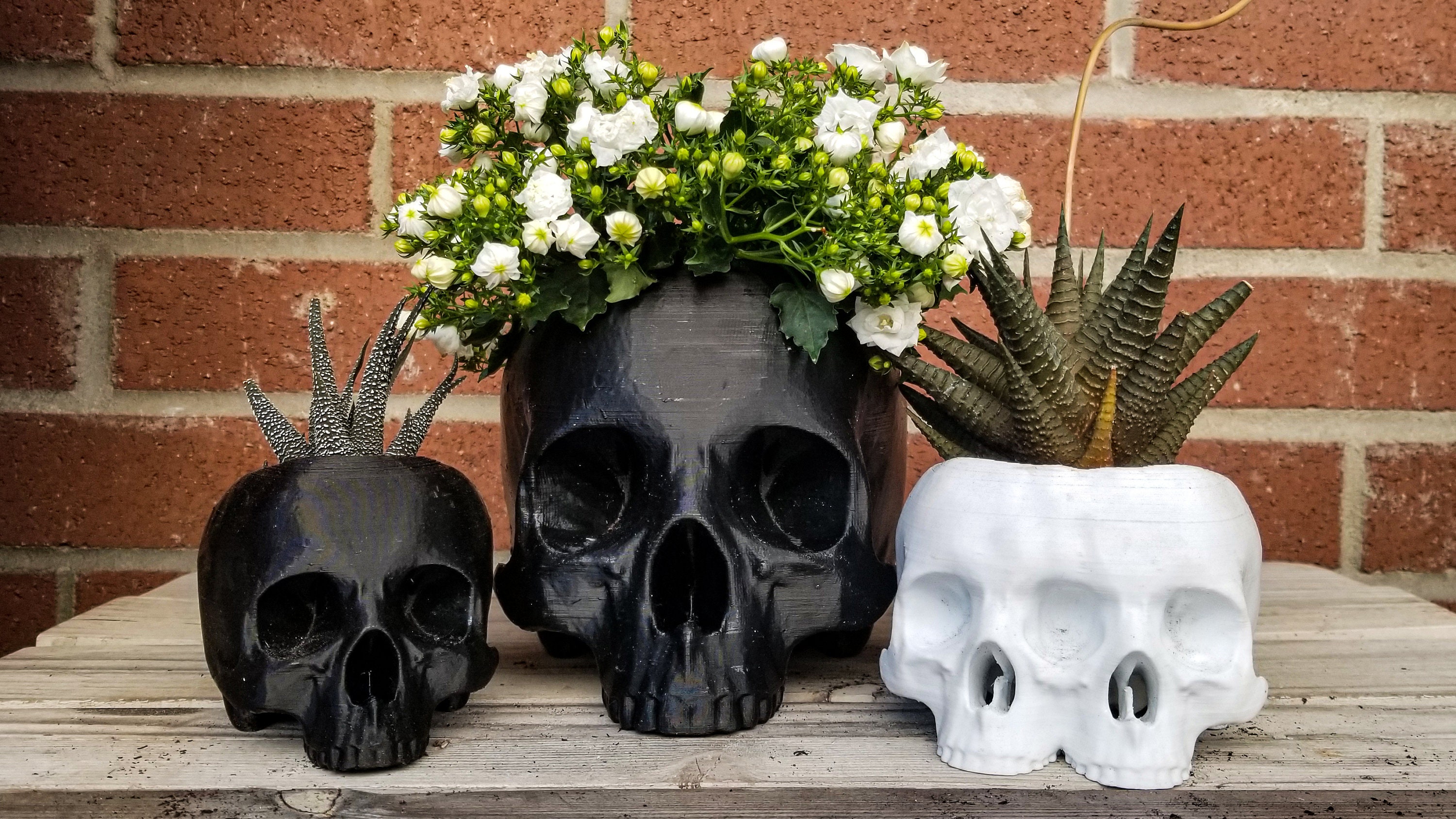 Skull Succulent Planter • Gothic Home Garden Decor • 3D Printed
