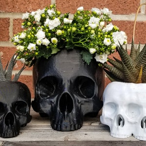 May include: Three skull-shaped planters, two black and one white, with different plants growing in them. The black planters have a glossy finish, while the white planter has a matte finish.