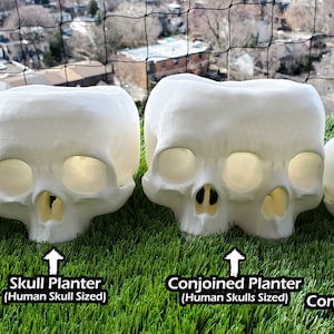 Conjoined Skull Succulent Planter Gothic Home Garden Decor 3D Printed image 8