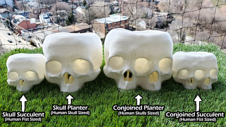 Conjoined Skull Succulent Planter Gothic Home Garden Decor 3D Printed image 8