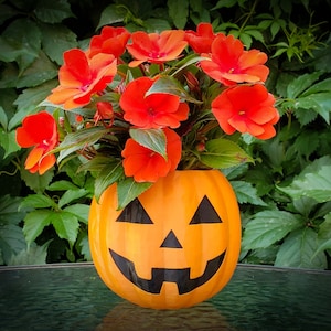 May include: Orange pumpkin-shaped planter with a carved jack-o'-lantern face, filled with a bright orange and red flowering plant.
