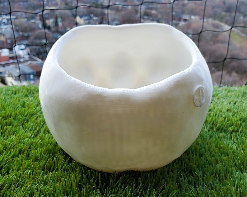 Large Conjoined Skull Planter Gothic Home Garden Decor 3D Printed image 7