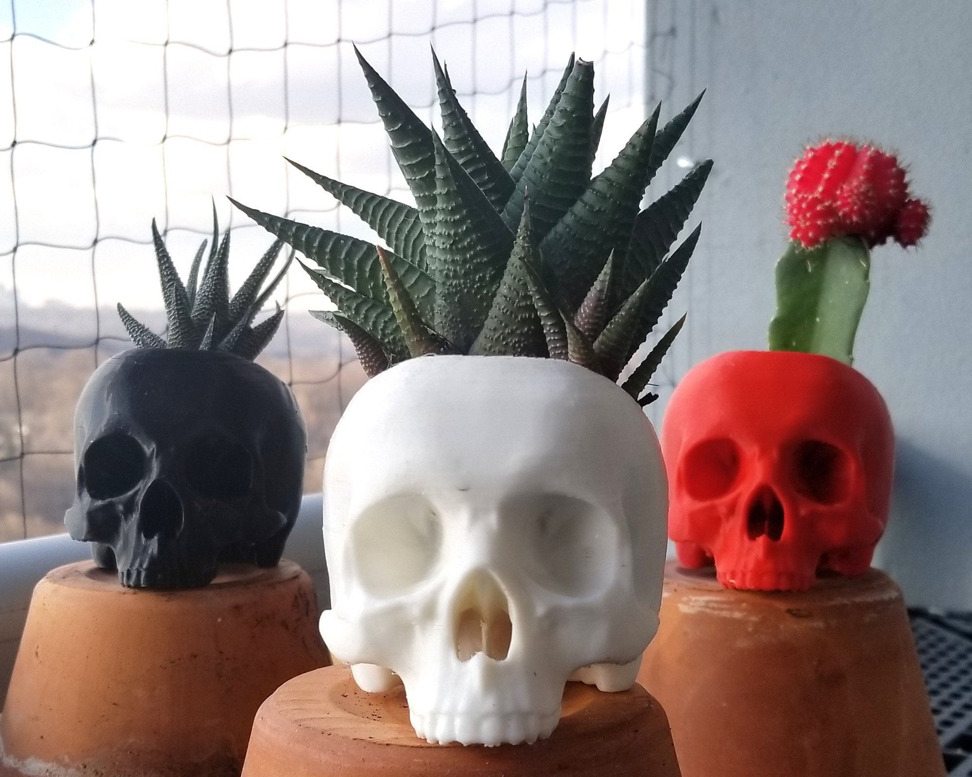 Skull Succulent Planter • Gothic Home Garden Decor • 3D Printed